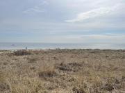 Top Seabrook