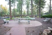 Top Indian Pine