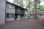 Top Indian Pine
