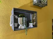 Top Cairo Montenotte