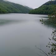 Top Bukovets Top Bukovets