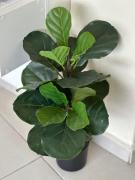 Vista Mar de tirar o fôlego - Ilha Porchat