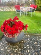 Top Varaždinske Toplice