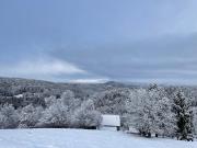 Zerko Holiday Apartment MARJETKA with WELLNESS bookable separately