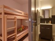 Studio chalet proche pistes, WiFi gratuit, animaux acceptés - FR-1-358-238