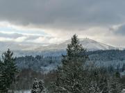 Apartment 25 JAVOR - Rezidence & Wellnes