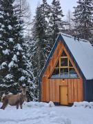 Top Zakopane