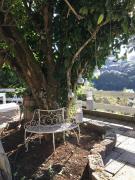 Top Agua de Fontanales