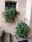 Top Val di Chy