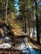 Top Dziwiszów Top Dziwiszów