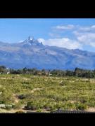 Top Nanyuki
