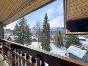 Top Les Carroz d'Araches