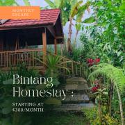 Bintang Homestay