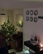 HARDY - Cognac & Pension