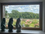 Top Saint Gatien des Bois