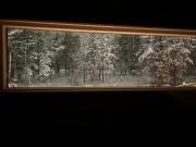 Arctic circle cabin 2