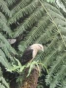 Top Estación El Salto