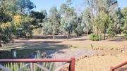 Top Nannup