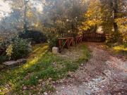 Top Caprese Michelangelo