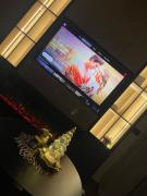 Lazarevic Lux - Vila Pekovic Lazarevic Lux - Vila Pekovic