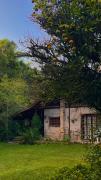 Top Araucária