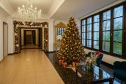 Hotel Royal Plaza By TimHotels