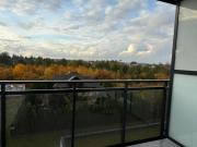 Top Nowy Dwór Mazowiecki Top Nowy Dwór Mazowiecki