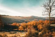 Top Charbonnières-les-Vieilles