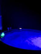 Top Wygonin Top Wygonin