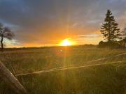 gîte La Maison dOdette