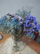 Casa inteira com pátio