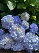 Hospedagem Solari di Gramado