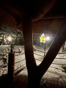 Top Postołowo Top Postołowo