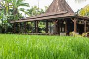 Top Ubud