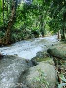 ติดธารโฮมสเตย์ - Cabin by The stream