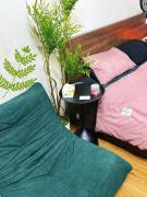 505NK Green House - Amoureux Homestays