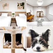 Ilbo Stay Seoul Homestay with Dog & Cat