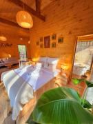 Tree Houses Olszanka