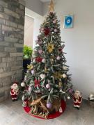 Aleksandras Διαμερίσματα