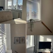 Briants, Spacious Home-from-Home, Free Parking & Secure Garden