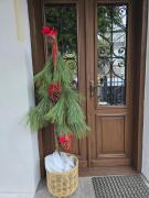 Apartamenty CAPPUCCINO Apartamenty CAPPUCCINO