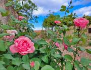 Top Markopoulo Top Markopoulo