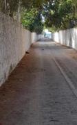 Top Hammamet Sud