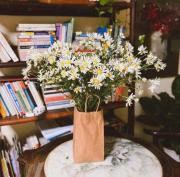 Tropical land little Hanoi homestay