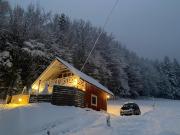 Forest house Forest house