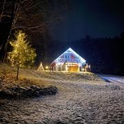 Forest house Forest house