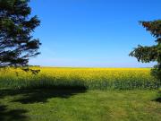 Holiday apartment with 2 bedrooms