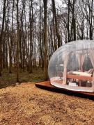 Bubbeltent in bos met hottub, 20m Amsterdam