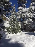 Planinska kucica Srce