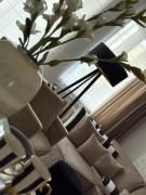 Top Bydgoszcz Top Bydgoszcz